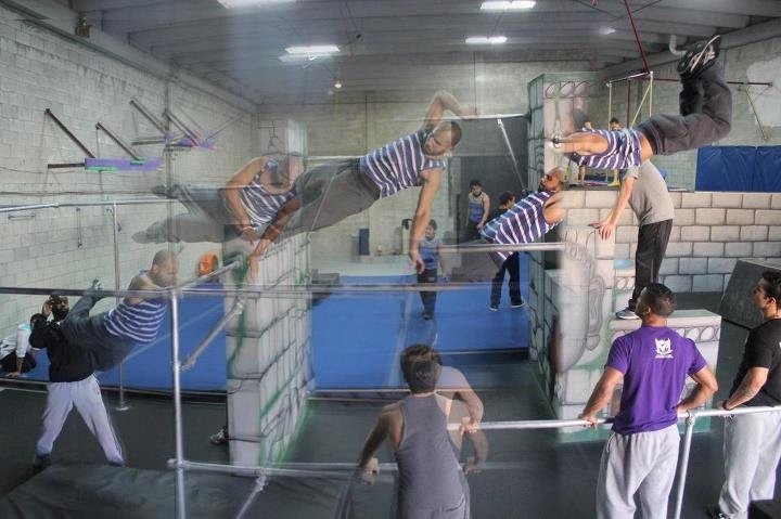 Miami Freerunning — image 3